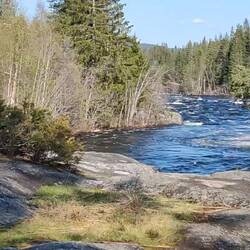 Da willst Du nicht schwimmen gehen