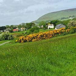 Farm at Carrowmore Cemetery