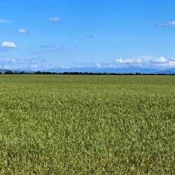 Mountains in the distance