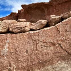 a human being / 5,000 years old