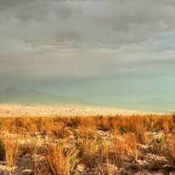 Vorspiel in Grün auf dem Weg zur Dusche