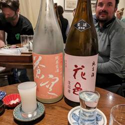 Dégustation de saké