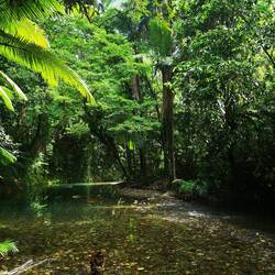 Creek at Heritage Lodgd