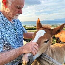 This one took a liking to Graham.