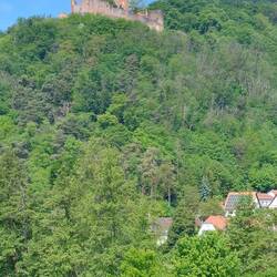Burg Landeck bei Klingenmünster