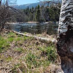 Stangen für das Fjäll?