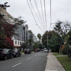 Ein Kolibri auf der Stromleitung 😁