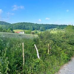 Farmland to start