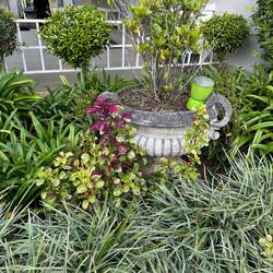 Lovely landscaped garden