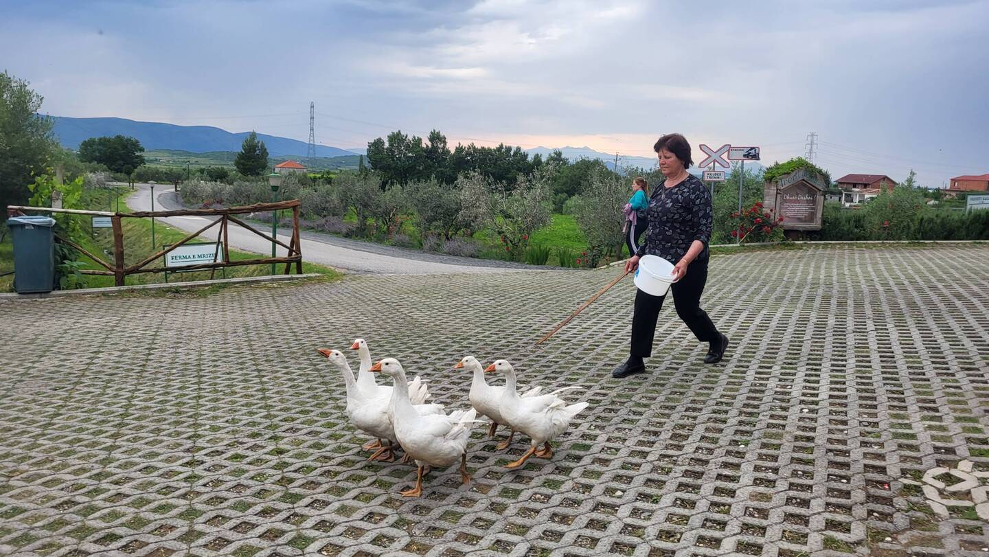 Agriturismo Mrizi i Zanava