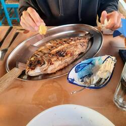 und Fisch zum Znacht 🐗