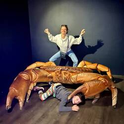 being a crab...
