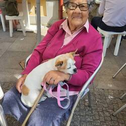 Danke Omi, meine Mutter ist noch ein wenig jünger, hat aber bald auch nen Wuffi