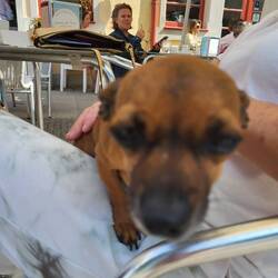 Vielleicht ja so einen? 🤔