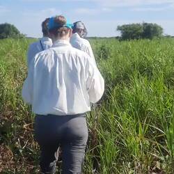 Do somer go Anacondas sueche (hei keni gfunde)