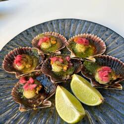 Scallops in the famous scallop shells!