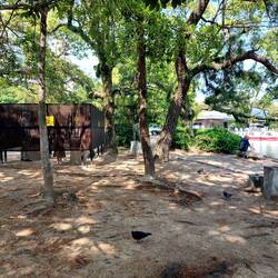 Rauchen ist fast überall verboten. Die Raucher müssen sich hinter den Wänden verstecken 😄