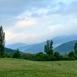 Beautiful light this morning