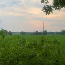 Am Morgen