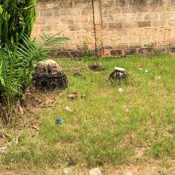 Légba onderweg naar Dogbo