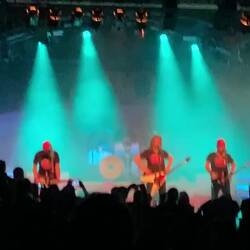 Verteidiger des Blödsinns