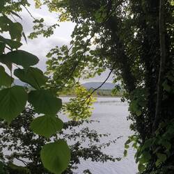 Auch in Sligo gibt es überall schöne...