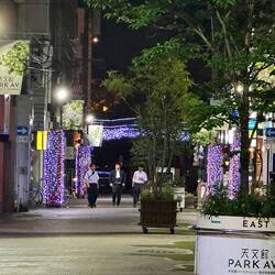 Walking back to find a taxi.