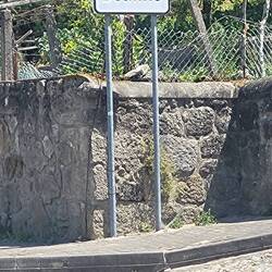 Ho ho ho wo isn das "R" geblieben? 🤔🤭🤭🤭🙂🙃