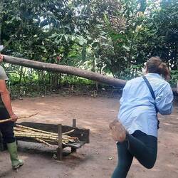 Bim heifahre heimer no chönne go Rohrzuckersaft trinke (heine zerst aber säuber müesse presse)