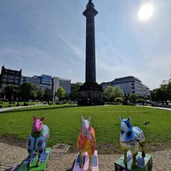 Das Melville Monument und die farbigen Schafe Edinburghs