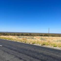 Im Bildhintergrund: die Kalahari