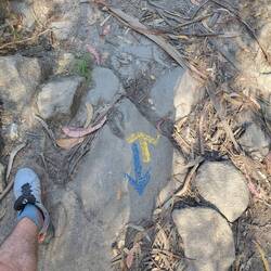 Wie mein Sternzeichen - Fische - entgegengesetzt.aber ein Fisch geht niemals unter