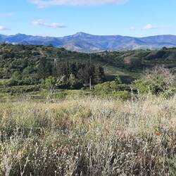 Some countryside at last