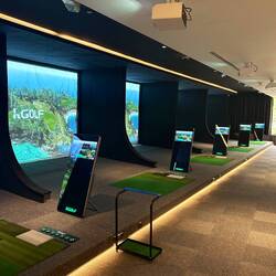 Indoor golf? Don't mind if I do!