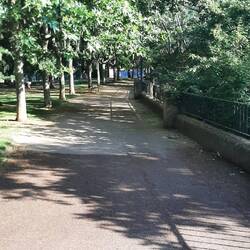 A pleasant walk through a park with a river on the right