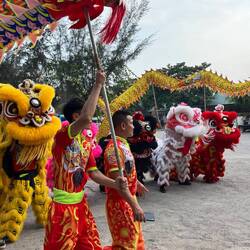 Lion dance greeting