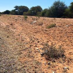 Von sanftem Savannengras zu wirklich arider Landschaft