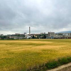 The walk out of Pamplona