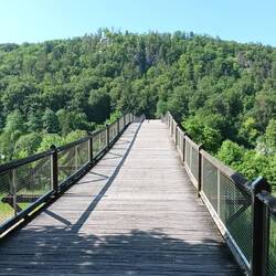 Holzbrücke Tatzlwurm