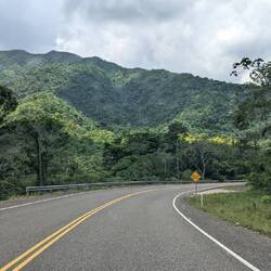 ... und noch mehr Dschungel! 😍