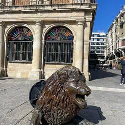 The lion, symbol of Leon