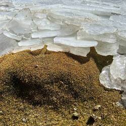 The wind pushed pieces of ice to the shore
