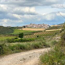 We walked around a corner, saw this town (Cirauqui), and started laughing. These views!