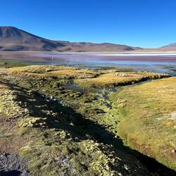 Laguna Colorada