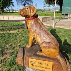 Das Maskottchen des Inverness Angel Klub