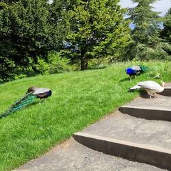 Sie sind fast in der Überzahl (aber nur fast)