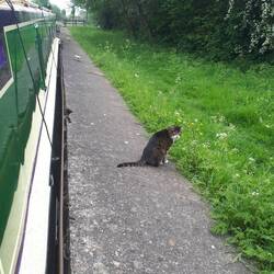 Abby ventures out for the first time