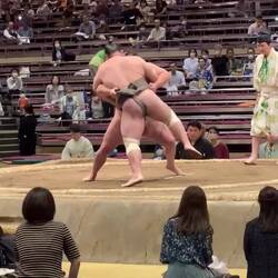 Some live action