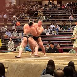 Lots of slapping going on in this one.