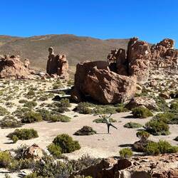 Luis in der Mitte als Größenvergleich